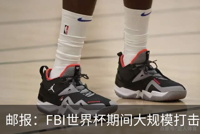 邮报：FBI世界杯期间大规模打击无人机活动，一名非法移民被捕